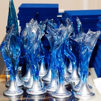 Премия Всероссийской федерации плавания 2013 года
