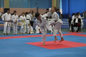 Открытый Кубок губернатора Пензенской области по восточному боевому единборству (сетокан)