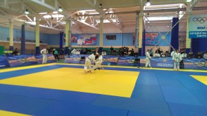 Около 400 спортсменов примут участие в V открытом Кубке Губернатора Пензенской области по дзюдо