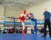 Победа Артема Манышева на соревнованиях по тайскому боксу в Саратове