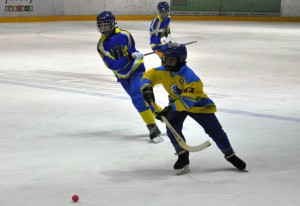 В Пензе проходят зональные соревнования по хоккею среди младших юношей