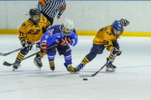 Состоялись очередные игры первенства России по хоккею с участием пензенских команд