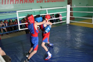 В Камешкирском районе состоялся рождественский турнир по боксу