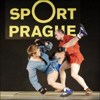 Пензенские «Витязи» — чемпионы мира