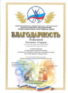 Итоги V всероссийского смотра-конкурса «Лучший организатор работы спортивной школы»
